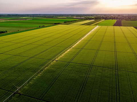 Aerial view of green wheat fields watered by a modern irrigation system under a clear sky during golden hour