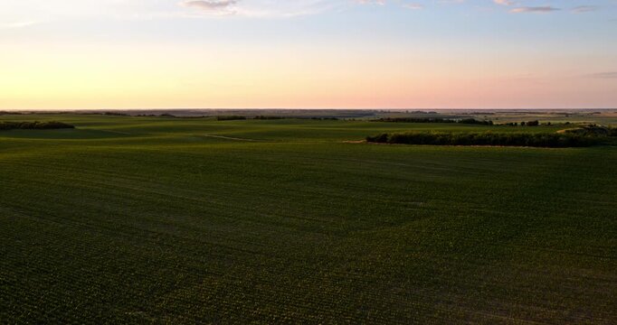 Aerial view of green agricultural farm field with rolling hills at scenic sunset