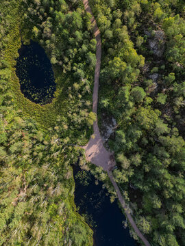 Aerial view of a winding dirt path cutting through a dense green forest, passing between two dark, calm lakes with lily pads in Sweden.