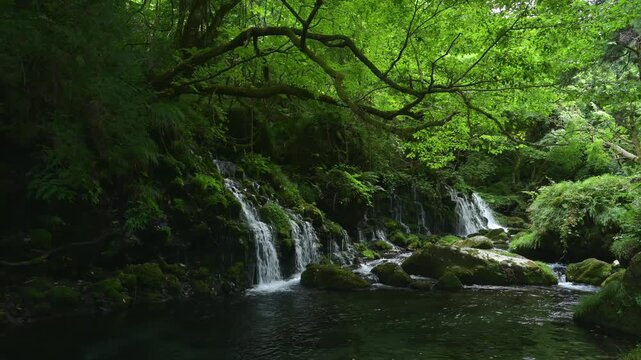 元滝伏流水の清らかな水が岩肌を流れる｜秋田県にかほ市