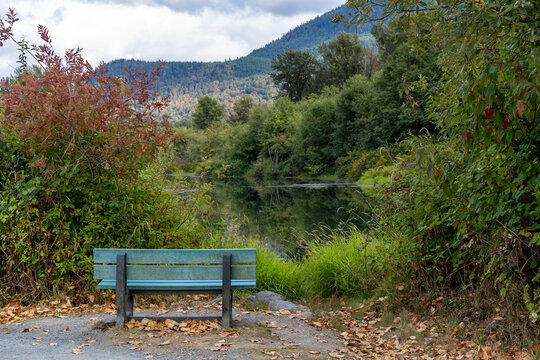 Empty Park Bench Overlooking Tranquil Pond at Great Blue Heron Nature Reserve, Chilliwack, BC, Canada
