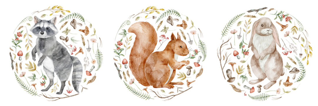 Woodland animals watercolor illustration set with racoon, squirrel and rabbit in floral circle frames isolated on background. Forest fall clipart for nursery, baby designs and autumn posters.