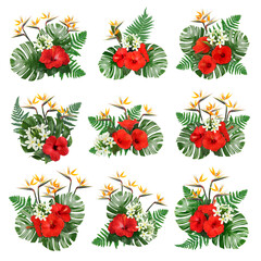 Floral compositions with hibiscus, strelitzia and plumeria flowers with green tropical leaves on white background, set © New Africa