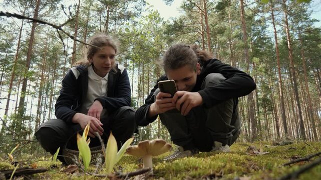 Two young men crouch in a sunlit pine forest clearing, closely studying a cluster of mushrooms growing from mossy ground. One leans forward while the other