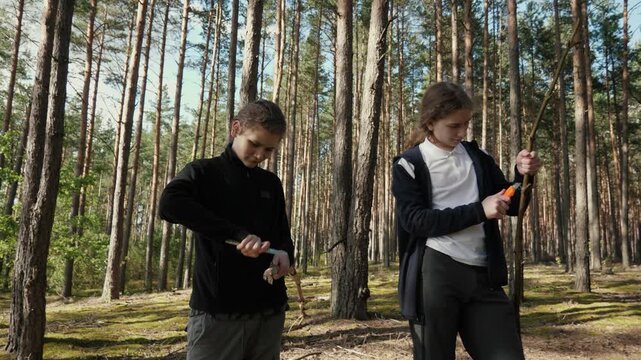 Two teenagers with long hair stand in a sunlit pine clearing, each trimming a sharpened branch they've made themselves. Trunks of the pine trees and the rays of sunlight filtering through the foliage