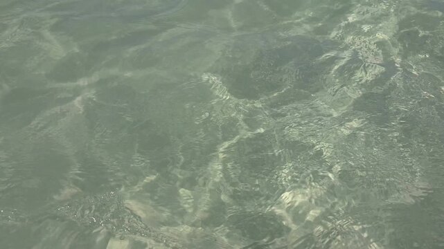 Crystal-clear shallow water in Montecristi, Dominican Republic, revealing a rocky seabed beneath sunlit caustic patterns. The natural texture and gentle ripples create a calming, abstract nature backg
