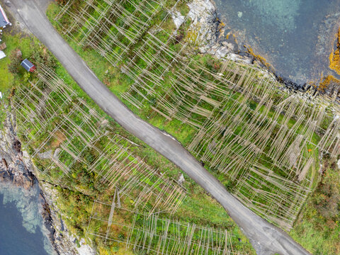 Aerial view of traditional wooden fish drying racks in Lofoten, Nordland, Norway.