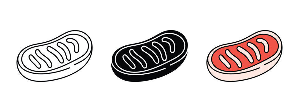 Mitochondria Icon Set: A collection of three stylized illustrations depicting a mitochondrion, showcasing different artistic interpretations of this vital cellular organelle.