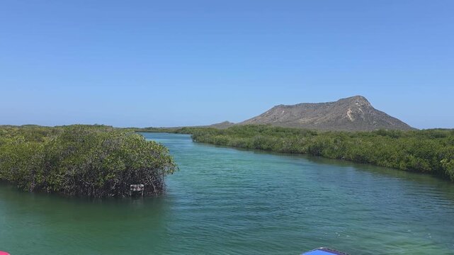 Serene mangrove channel in Montecristi, Dominican Republic, with calm turquoise water winding through lush mangrove forest. The iconic El Morro mountain rises in the background under a clear blue sky,