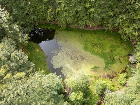 Aerial view of a small pond nestled within the lush green forest of Parco Nazionale dell'Appennino Tosco-Emiliano in Provincia di Massa e Carrara, Italy.