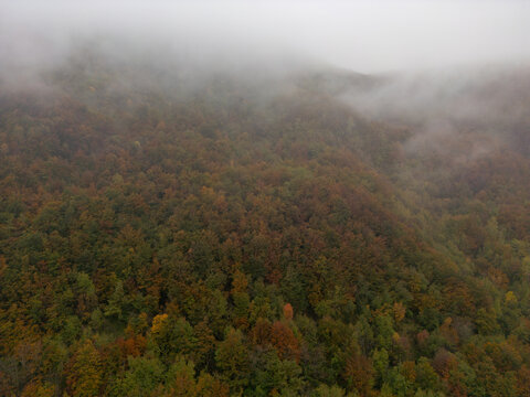 Aerial view of Parco Nazionale dell'Appennino Tosco-Emiliano featuring dense forest with autumn foliage partially obscured by thick mountain mist in Provincia di Massa e Carrara, Italy.