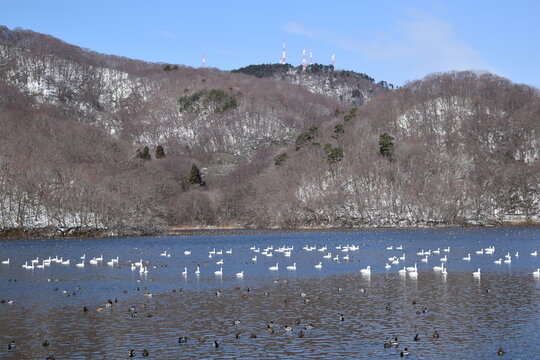大山上池・下池 ラムサール条約登録地