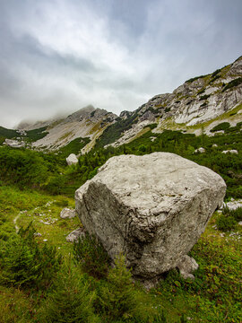 alpine environment, alpine geology, alpine pasture, atmospheric landscape, august, central europe, clouds, dramatic clouds, dwarf pines, eco tourism, european alps, foreground interest, grad, green gr