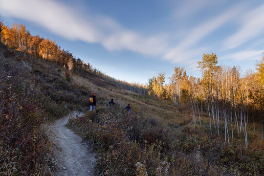 Woman and children hiking along a trail at a park in Autumn