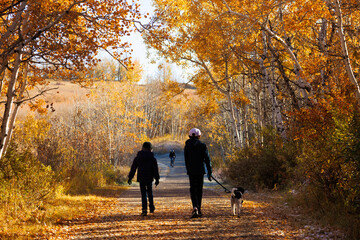 Obraz premium Two young boys walking with their dog along a footpath in a park on a sunny Autumnal day