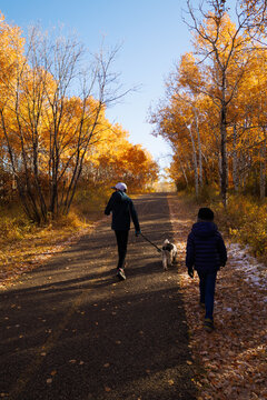 Two young children walking with their dog along an Autumnal trail in a park