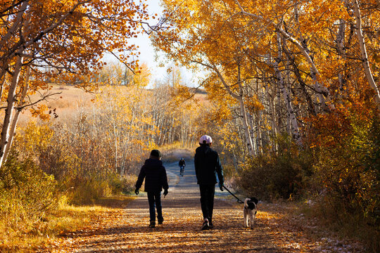 Two young boys walking with their dog along a footpath in a park on a sunny Autumnal day