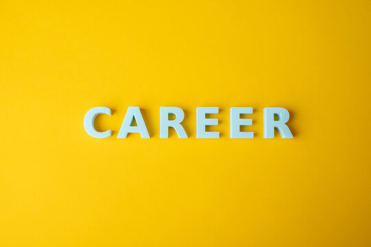 Career development, professional growth and employment concept
