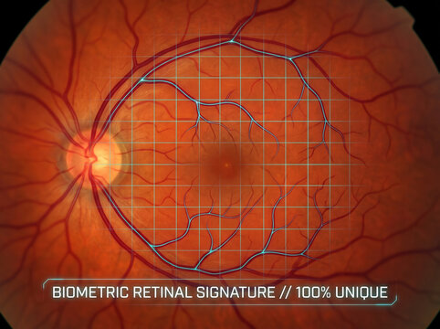 Biometric Human Retinal Scan Matrix Over Unique Vascular Pattern