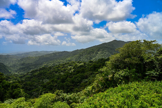 mountain landscape with blue sky and clouds, rain forest, El Yunque, Puerto Rico.