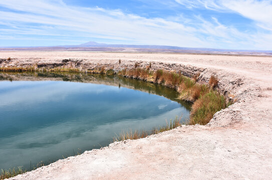 Eyes of the desert (Ojos del Salar). Atacama Desert. Chile.