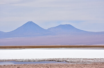 Laguna Tebinquinche - high-salinity lake in the Atacama Desert, Chile. © Gennady