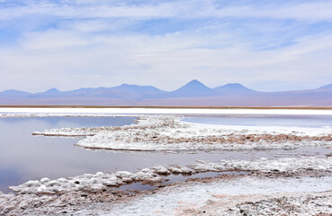 Laguna Tebinquinche - high-salinity lake in the Atacama Desert, Chile. © Gennady