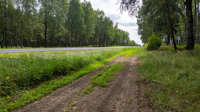 Fire Barrier Ground Strip Dug Between Country Highway and Dense Woodland
