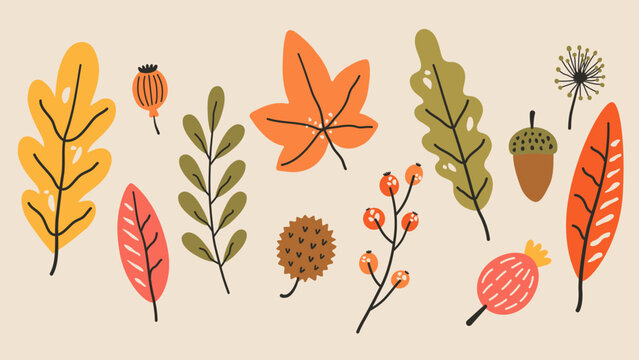 Colorful autumn botanical doodle set with leaves, berries, acorn and seeds on beige background. Cozy seasonal illustration for cards, posters, packaging, branding and social media.