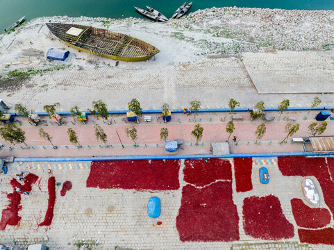 Aerial view of red chili peppers drying on the ground along the riverbank with a wooden boat under construction and a paved walkway in Bogura, Rajshahi Division, Bangladesh.