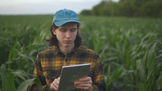 Corn. A young farmer stands in a cornfield, examining the healthy corn plants. The farmer uses a tablet to monitor the corn's growth and health.