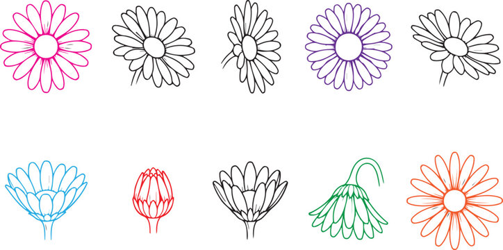 Set of hand drawn daisy flower sketches isolated on a white background