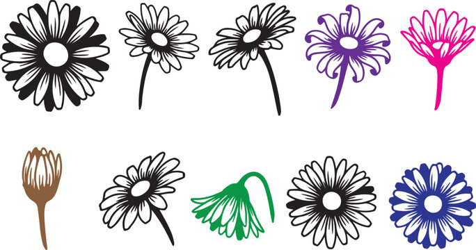 Set of hand drawn daisy flower sketches isolated on a white background