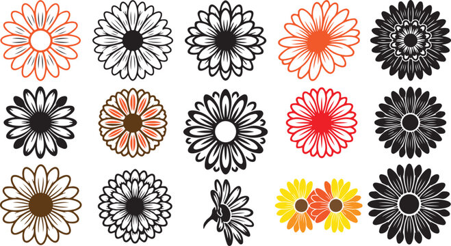 Set of various daisy flower icons and floral shapes in black and color style