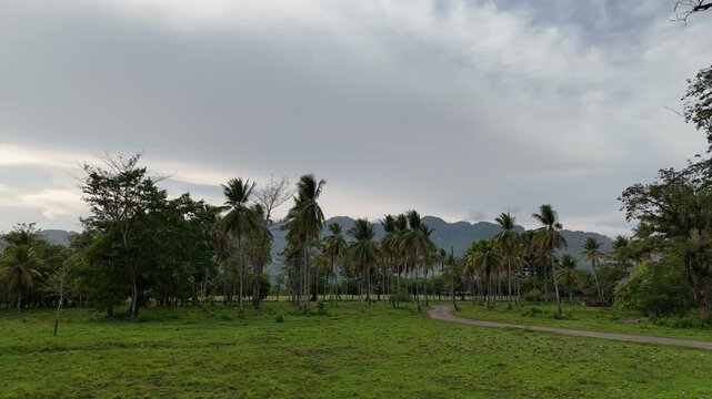 Static view of a lush green pasture surrounded by palm trees and tropical vegetation with distant mountains in El Estor, Izabal, Guatemala.