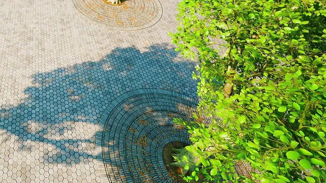 A tree stands in the center of a public park. Its shadow creates a circular pattern on the patterned pavement. Sunlight shines down, highlighting the design on the ground.