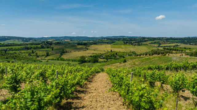 Aerial view of the rolling hills of Tuscany covered in lush green vineyards under a clear blue sky in Marcialla, Toscana, Italy.