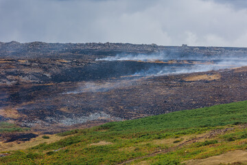 Burnt heather landscape with smoke plumes drifting across scorched earth, green fern border contrasting sharply against charred black hillside © whitcomberd