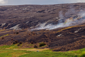 Obraz premium Smoke rising from charred hillside after wildfire on Llangynidr Moors, Brecon Beacons, blackened moorland sloping down to green bracken in South Wales
