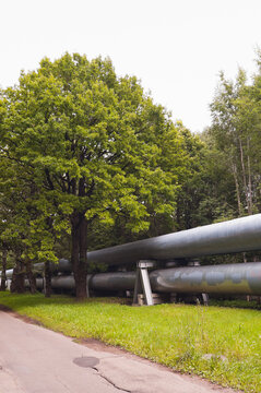 The photo shows a pipeline against the backdrop of a forest, with a road running alongside it