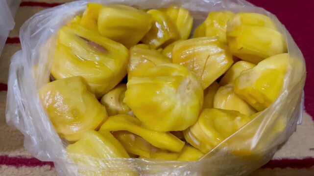 Fresh Ripe Jackfruit Arils in a Clear Plastic Bag