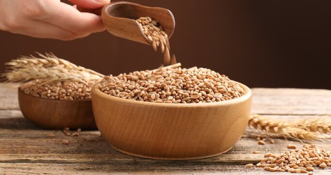 Woman pouring wheat grains into bowl and spikes at wooden table, closeup