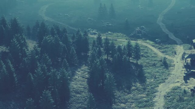 Tall trees cover the land with a winding path cutting through the forest. The scene shows a remote area in the early morning with mist lingering in the air.