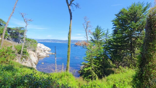 View of Point Lobos, California,