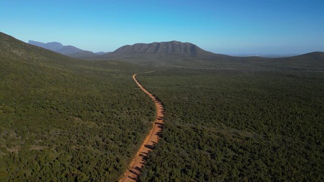 Aerial view of long dirt road winding through vast green savanna bushland leading towards majestic mountain landscape in South Africa.