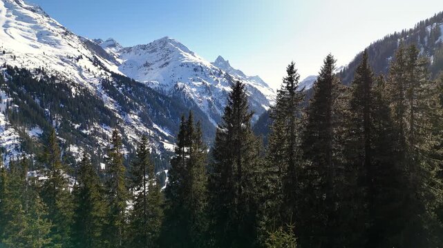 Aerial view of Arlberg mountains with dense pine forests and snow-capped peaks in Bludenz District, Vorarlberg, Austria.