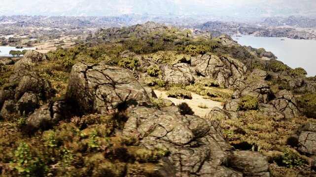 The scene shows a rocky terrain with scattered plants near a body of water. The view is expansive, revealing distant hills and a clear sky. The time is daytime.