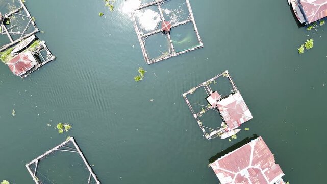 Aerial view of floating fish farming cages in the calm waters of Waduk Cirata reservoir, showing wooden structures and net enclosures in Cianjur, West Java, Indonesia.