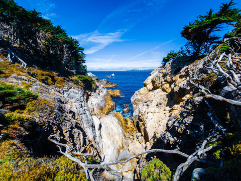 View of Point Lobos, California,