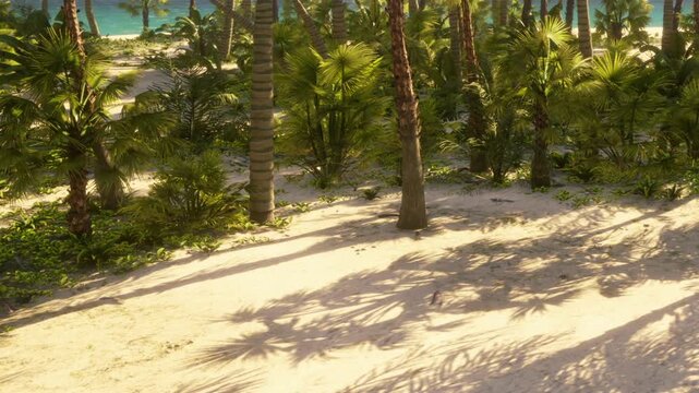 Tall palm trees stand on sandy ground near a beach. Green plants grow around the trees. The sun is shining, creating shadows on the sand. This scene shows a tropical environment.